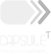 Capsule T Accelerator