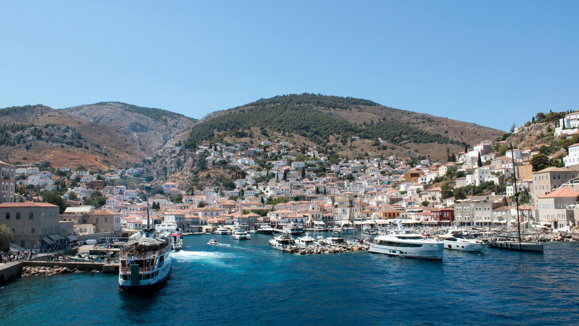 Hydra